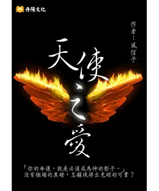 書封 天使之愛